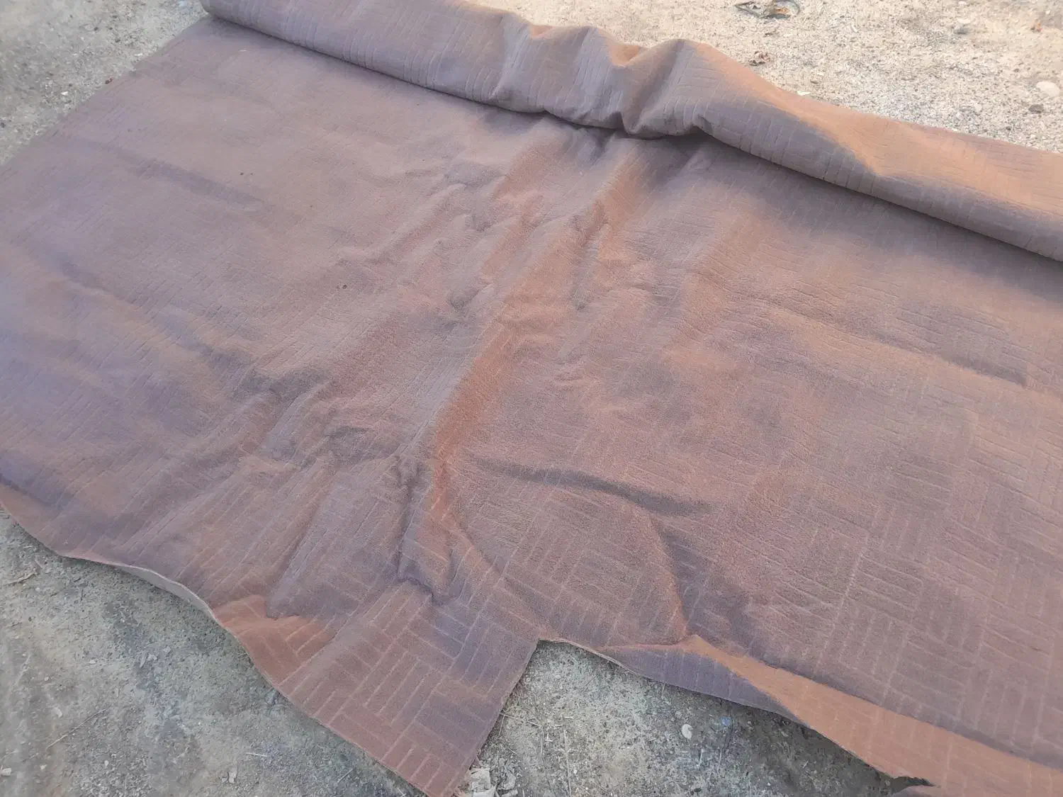 تعدادی موکت در حد نو|موکت|بندرعباس, |دیوار