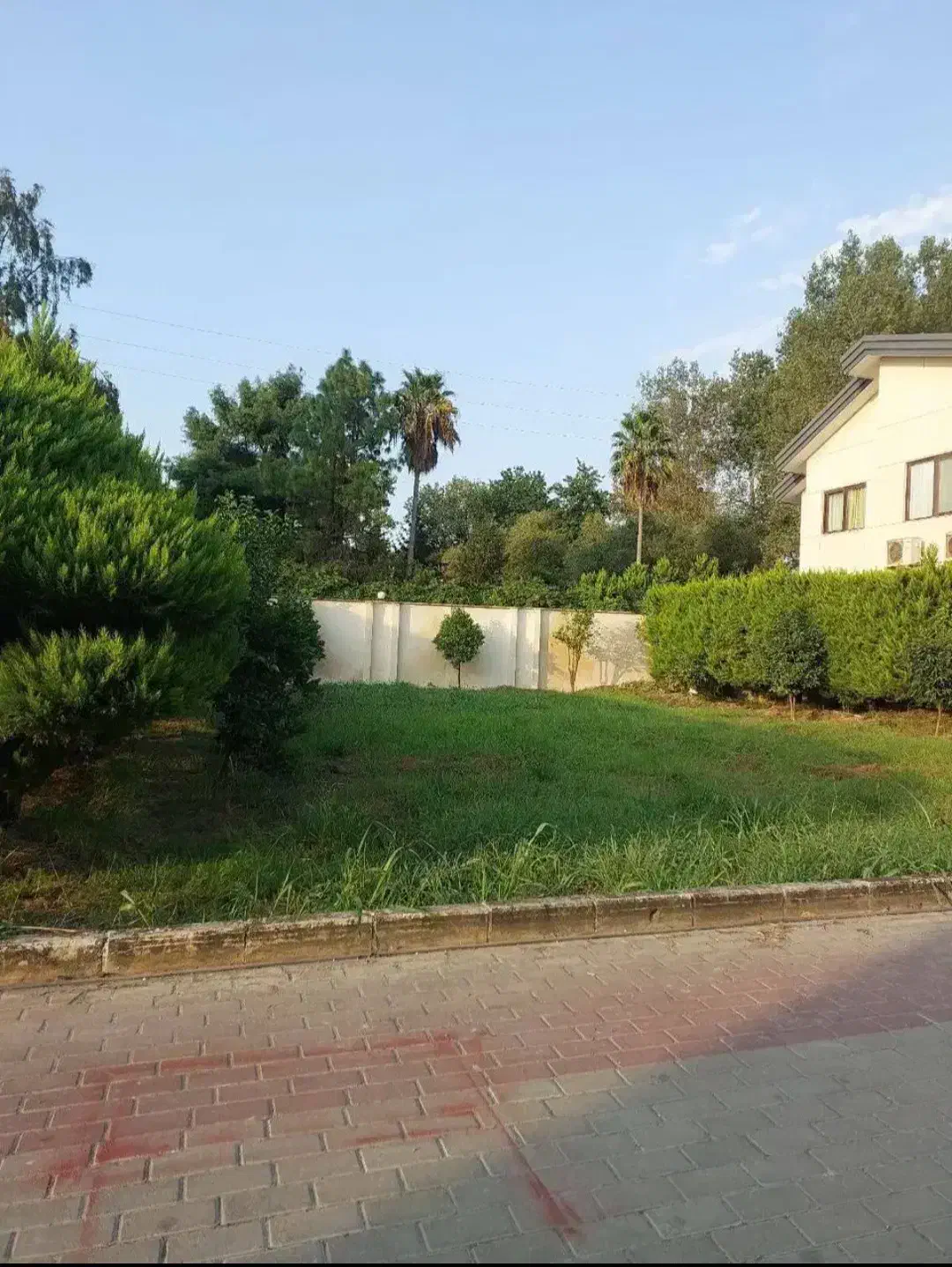 ۳۰۰مترزمین شهرک برند انشعابات سرملک/بالادست نور|فروش زمین و ملک کلنگی|ایزدشهر, |دیوار