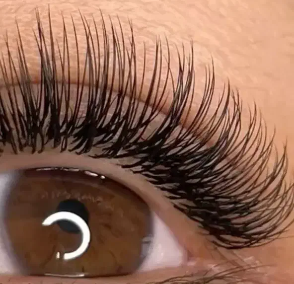 آموزش صفرتا صد اکستنشن مژه|خدمات آموزشی|زهک, |دیوار