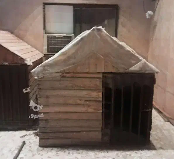 خونه سگ در ابعاد بزرگ|لوازم جانبی حیوانات|قائمشهر, |دیوار