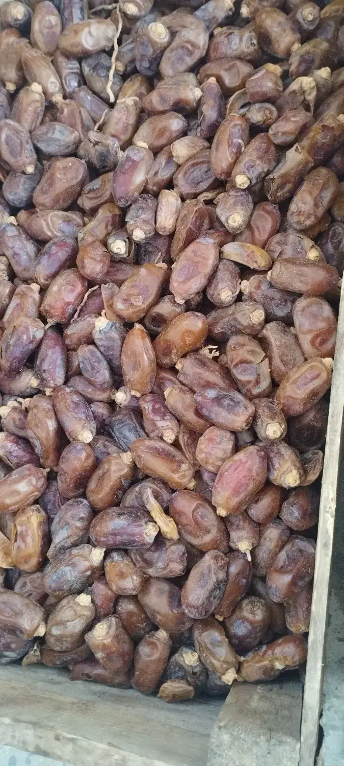 خرما|حراج|شادگان, |دیوار