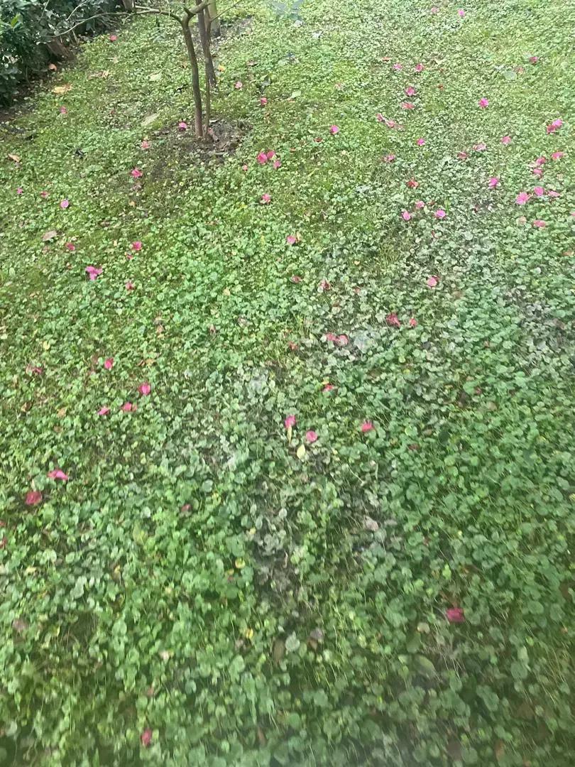 خط ثابت بیلبوردی و فوق رند|تلفن رومیزی|تهران, الهیه|دیوار