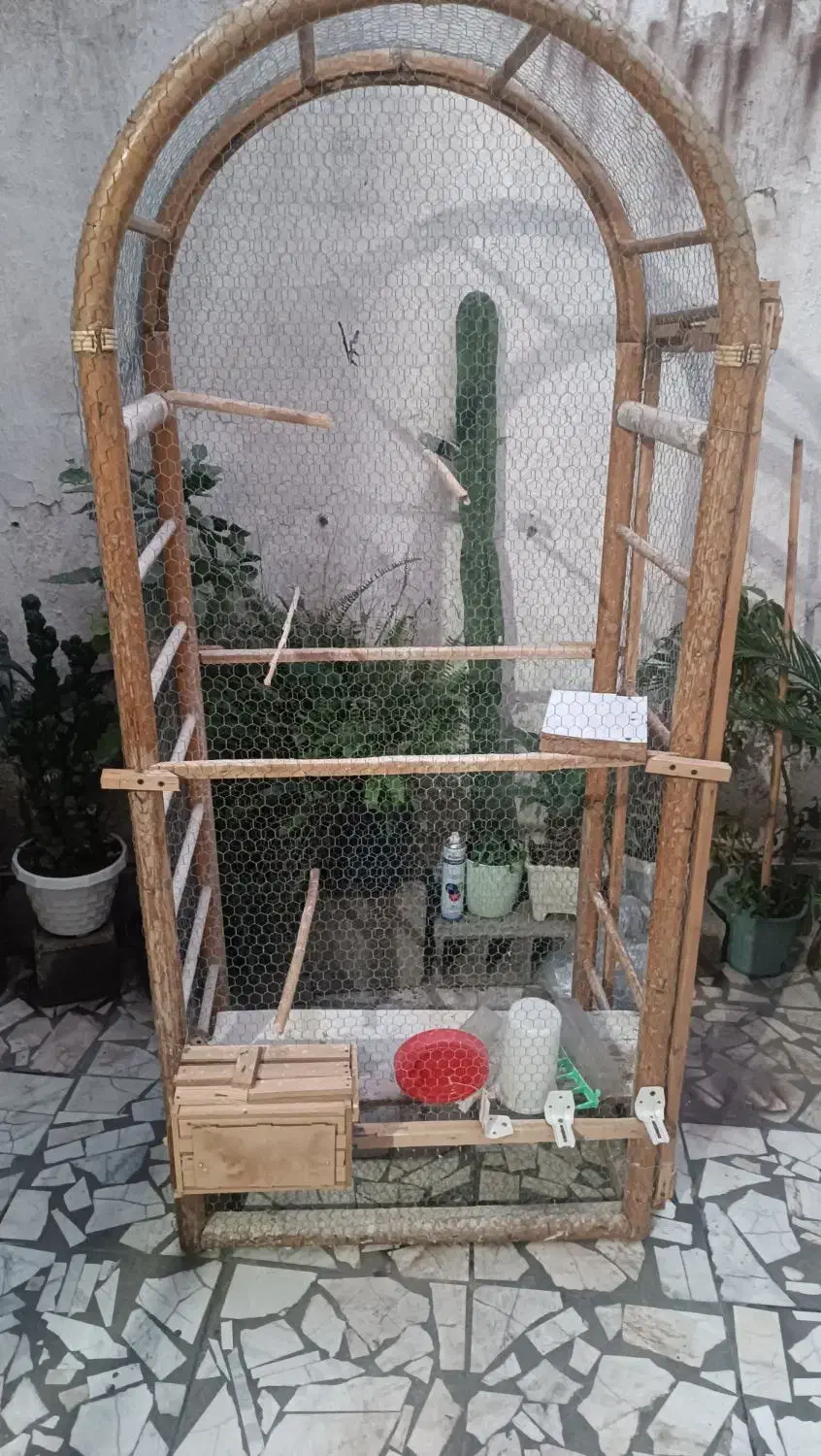 قفس پرنده بزرگ سالم فروش فوری|لوازم جانبی حیوانات|بابل, |دیوار