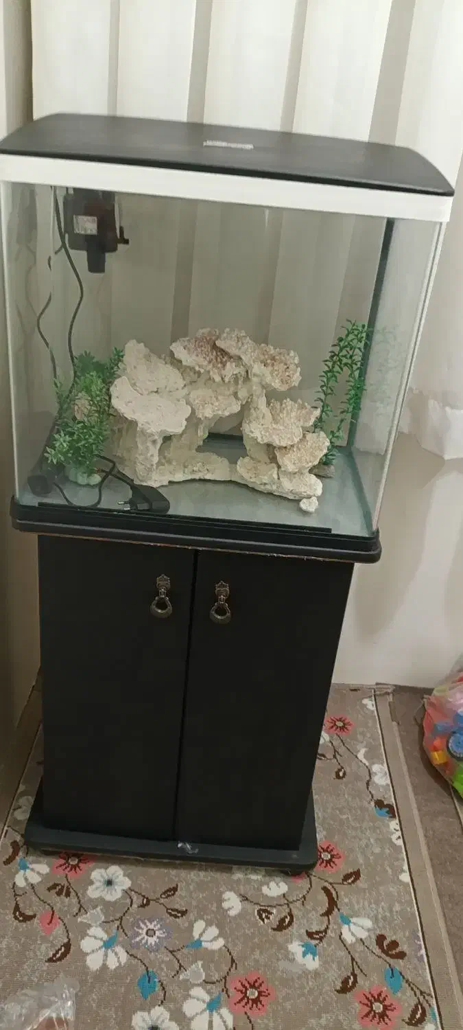 اکواریوم کامل با کمد،شیک نو.|ماهی|تهران, هفده شهریور|دیوار