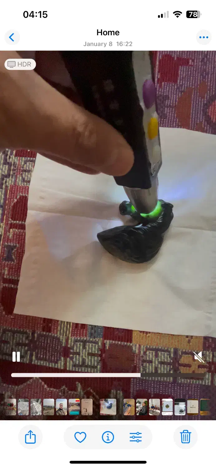 سردیس اسب|اسب و تجهیزات اسب‌سواری|تهران, ارم|دیوار