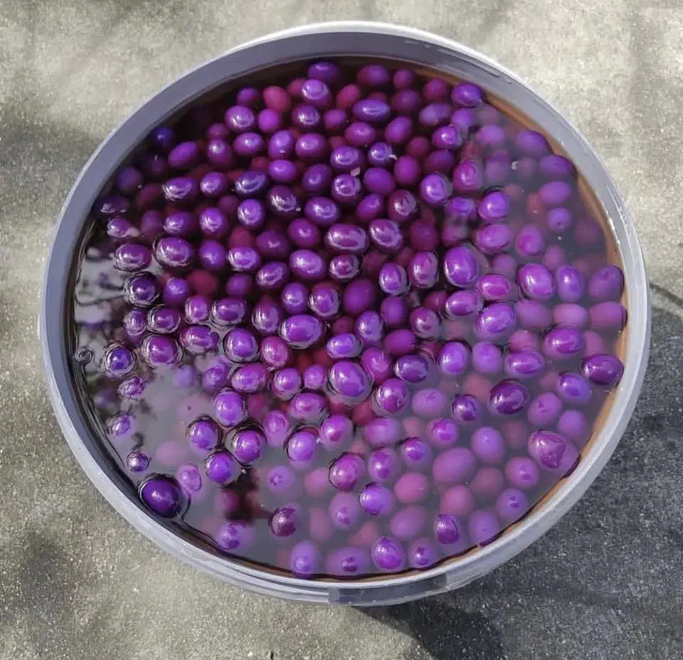 زیتون زغال اخته|خوردنی و آشامیدنی|کرج, آتشگاه|دیوار