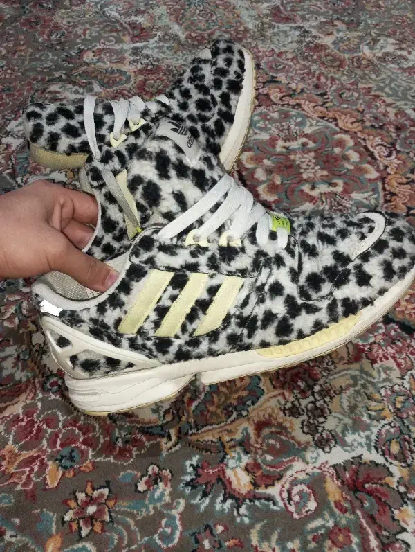 کتونی اورجینال zx|کیف، کفش، کمربند|تهران, شهرک ابوذر|دیوار