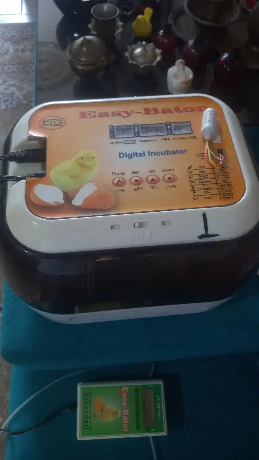 دستگاه جوجه کشی ایزیباتور ۶|لوازم جانبی حیوانات|پاکدشت, پاکدشت (مامازند)|دیوار