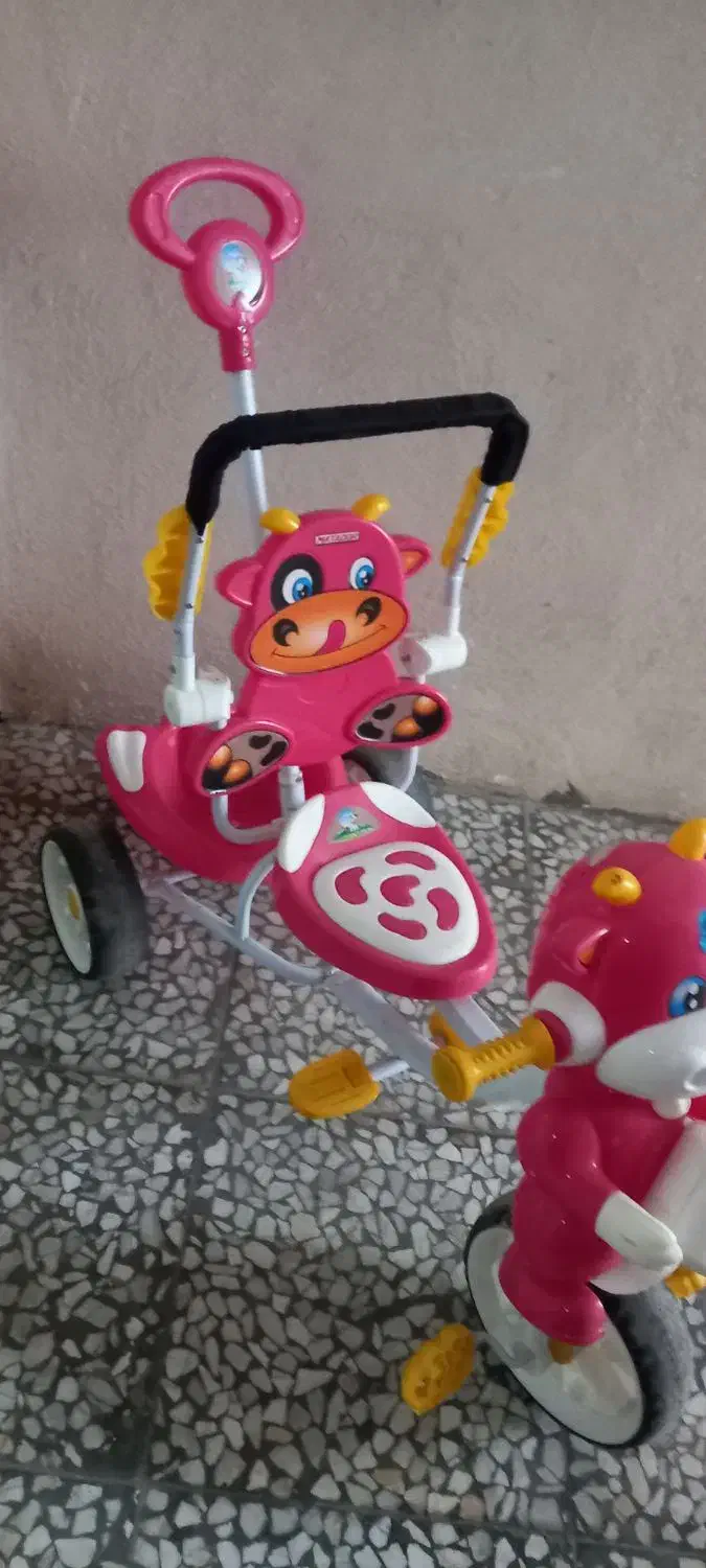 دوچرخه کودک|دوچرخه، اسکیت، اسکوتر|رشت, نخودچر|دیوار