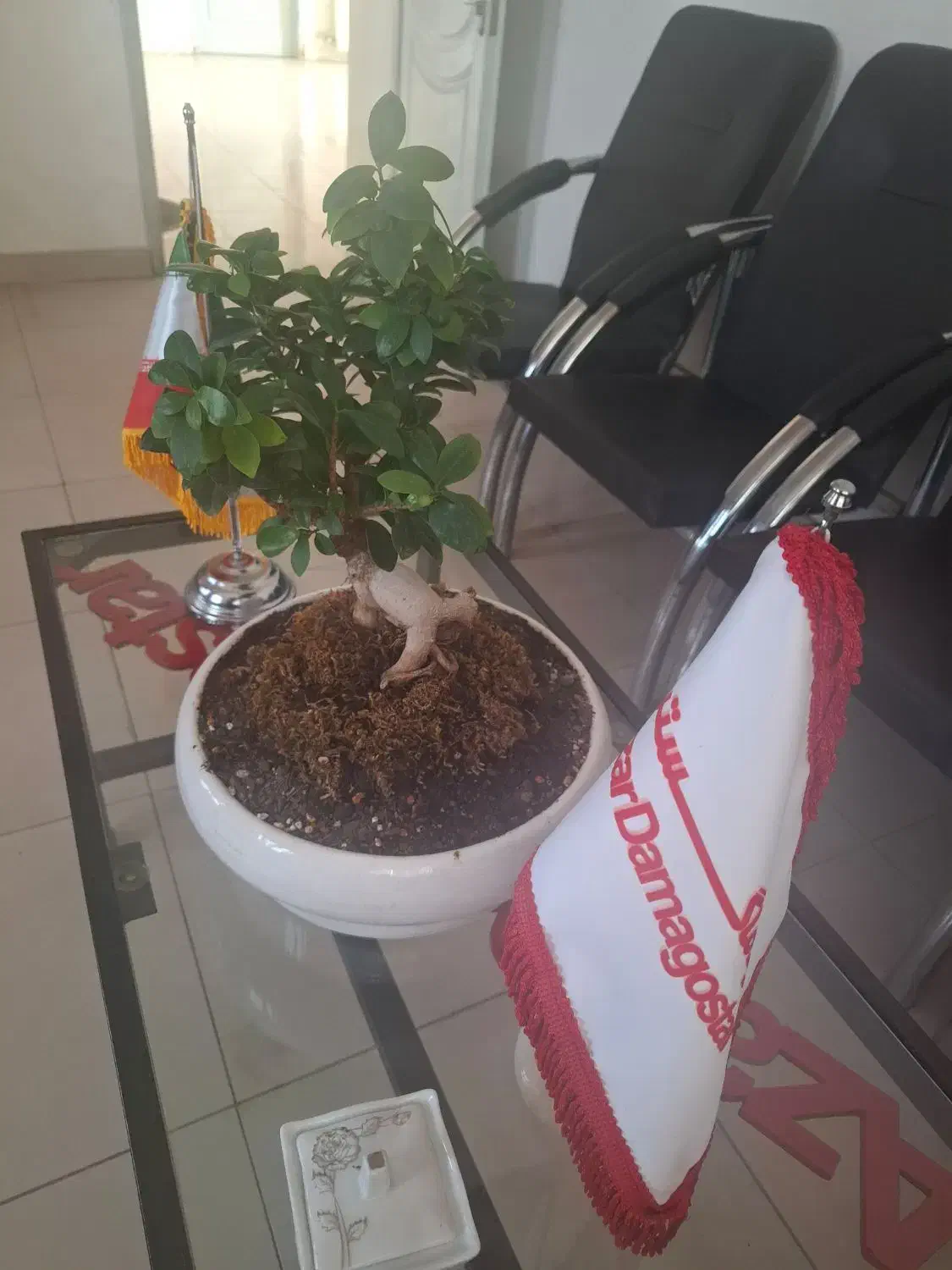 آبدارچی خانم کار در شرکت|استخدام سرایداری و نظافت|ممقان, |دیوار