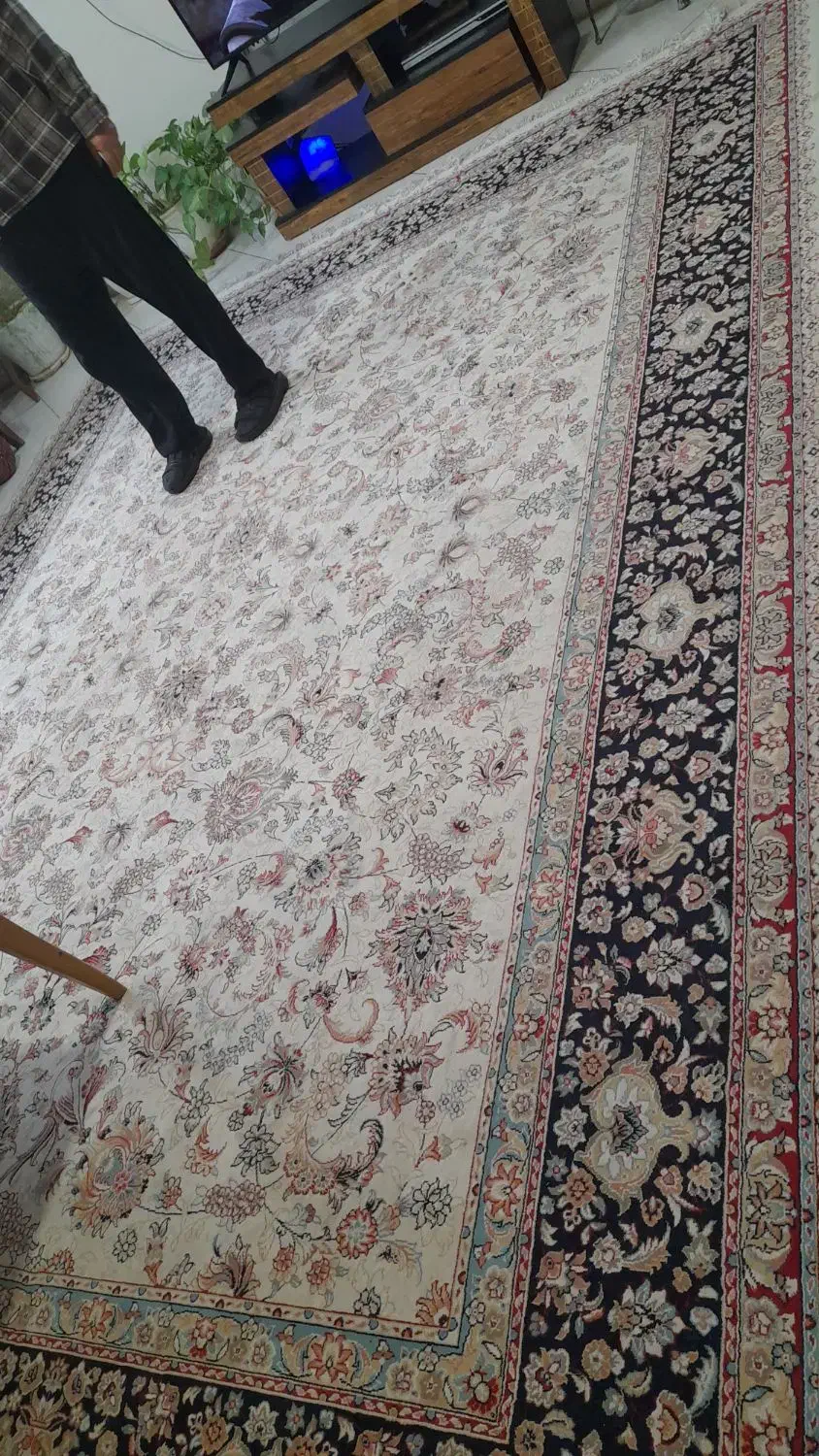 فرش ۱۲متری مشهد|فرش|مشهد, طلاب|دیوار
