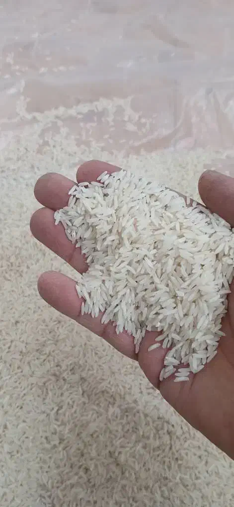 برنج طارم هاشمی آمل|خوردنی و آشامیدنی|ساری, |دیوار