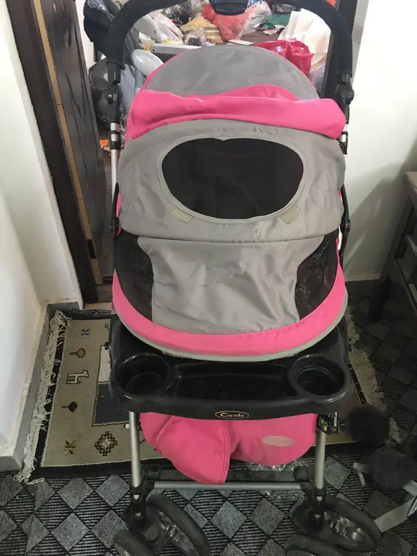 وسایل کودک|اسباب و اثاث بچه|بندر انزلی, سپه|دیوار