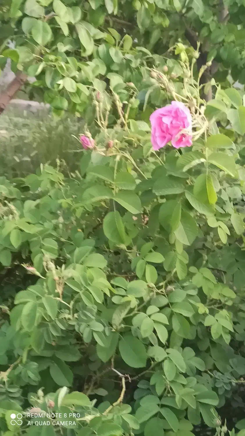 نیازمندسرمایه گذاردرشرکت تولید پوشاک درزاهدان|مشارکت در ساخت املاک|تهران, آرژانتین|دیوار