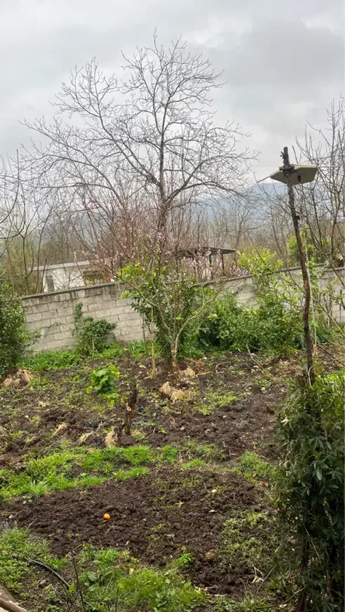 زمین مسکونی|فروش زمین و ملک کلنگی|رستم‌آباد, |دیوار