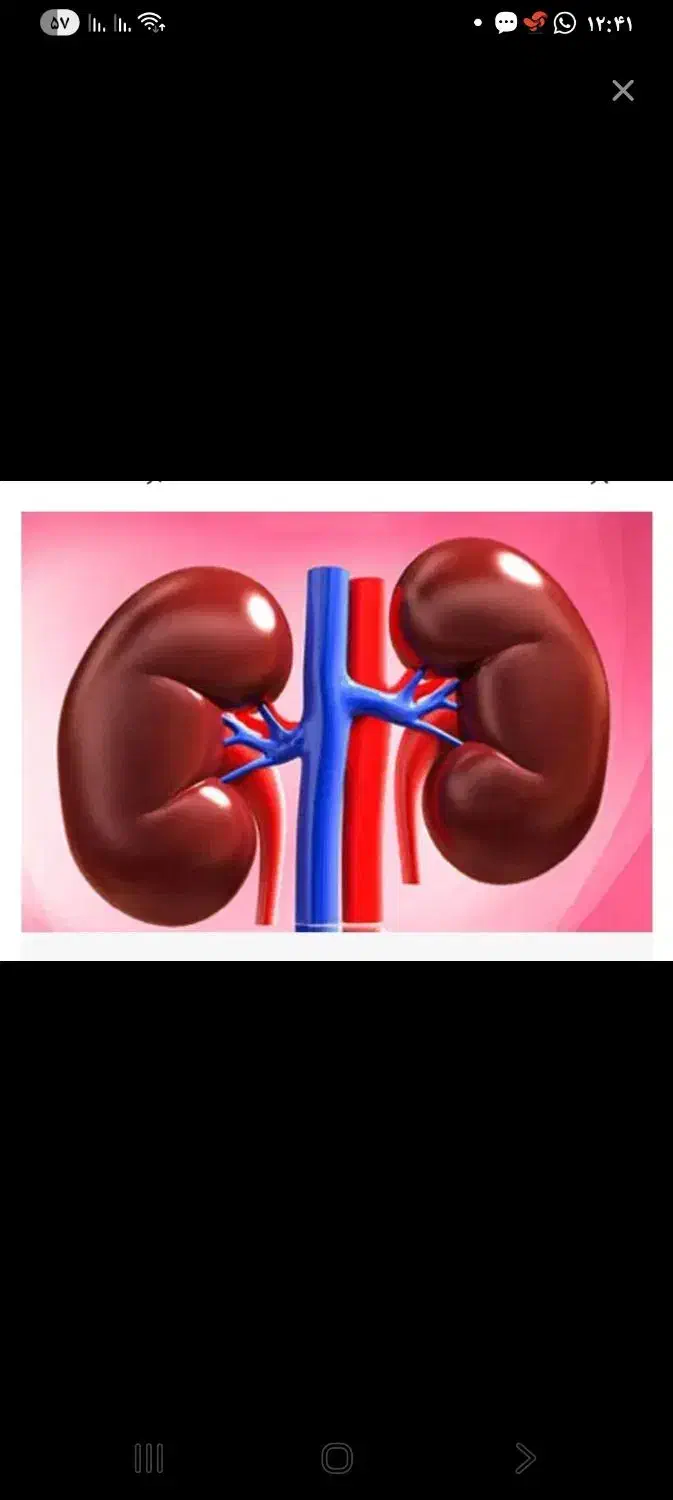 کلیه|فعالیت داوطلبانه|ری, شهادت|دیوار