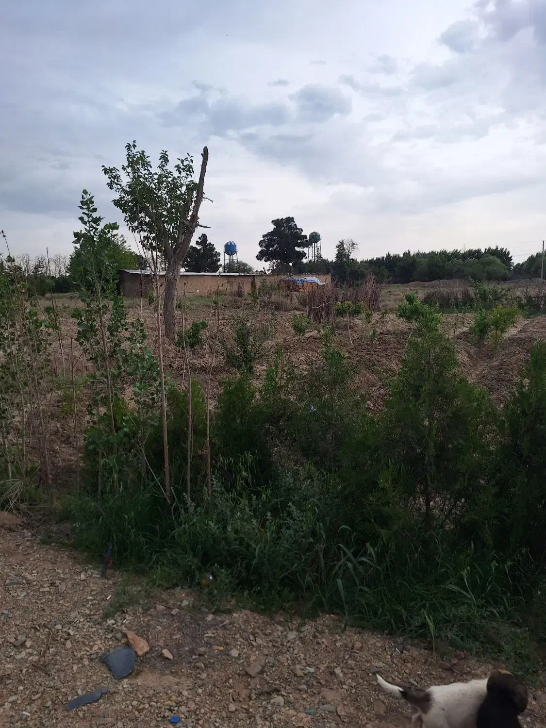 زمین ۳۰۰ متر فیروز بهرام|فروش زمین و ملک کلنگی|چهاردانگه (تهران), |دیوار