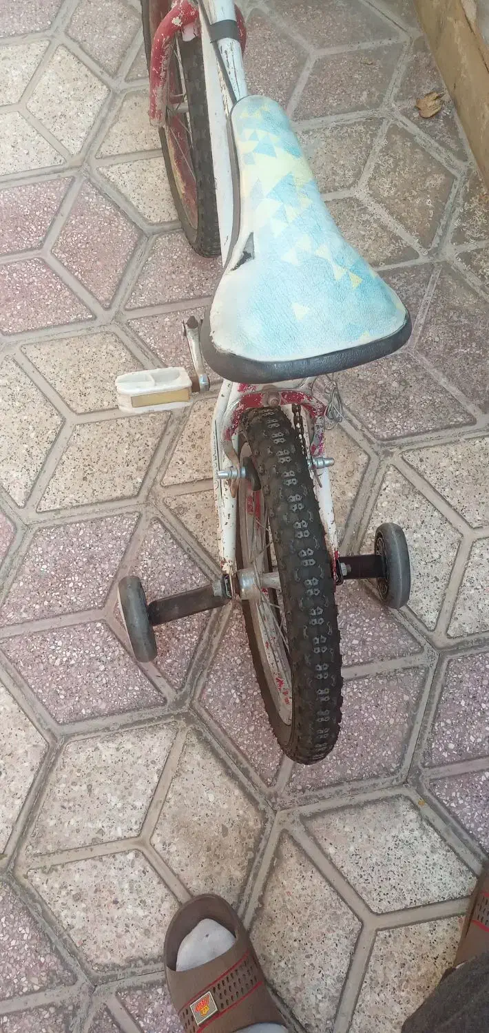 دوچرخه ۱۶|دوچرخه، اسکیت، اسکوتر|سده (خراسان جنوبی), |دیوار