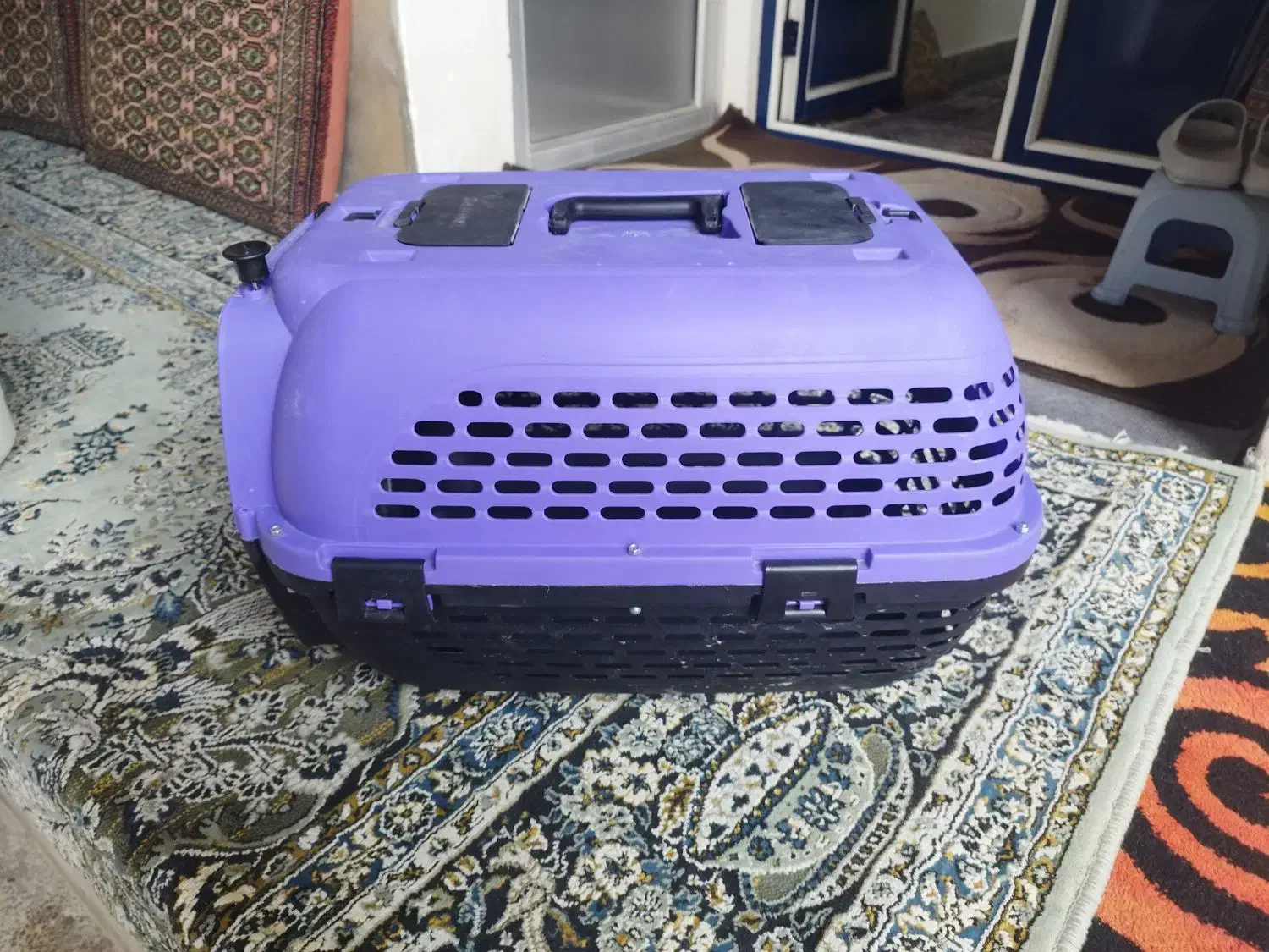 باکس سگ پامرا|لوازم جانبی حیوانات|رشت, ولکس|دیوار