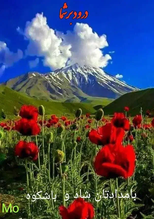 خط ثابت رند سیدخندان|تلفن رومیزی|تهران, دبستان|دیوار