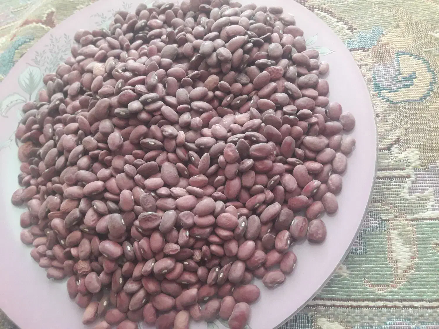 لو بیا قرمز  خوش پخت نیشابور پاک شد|خوردنی و آشامیدنی|نیشابور, مازول|دیوار