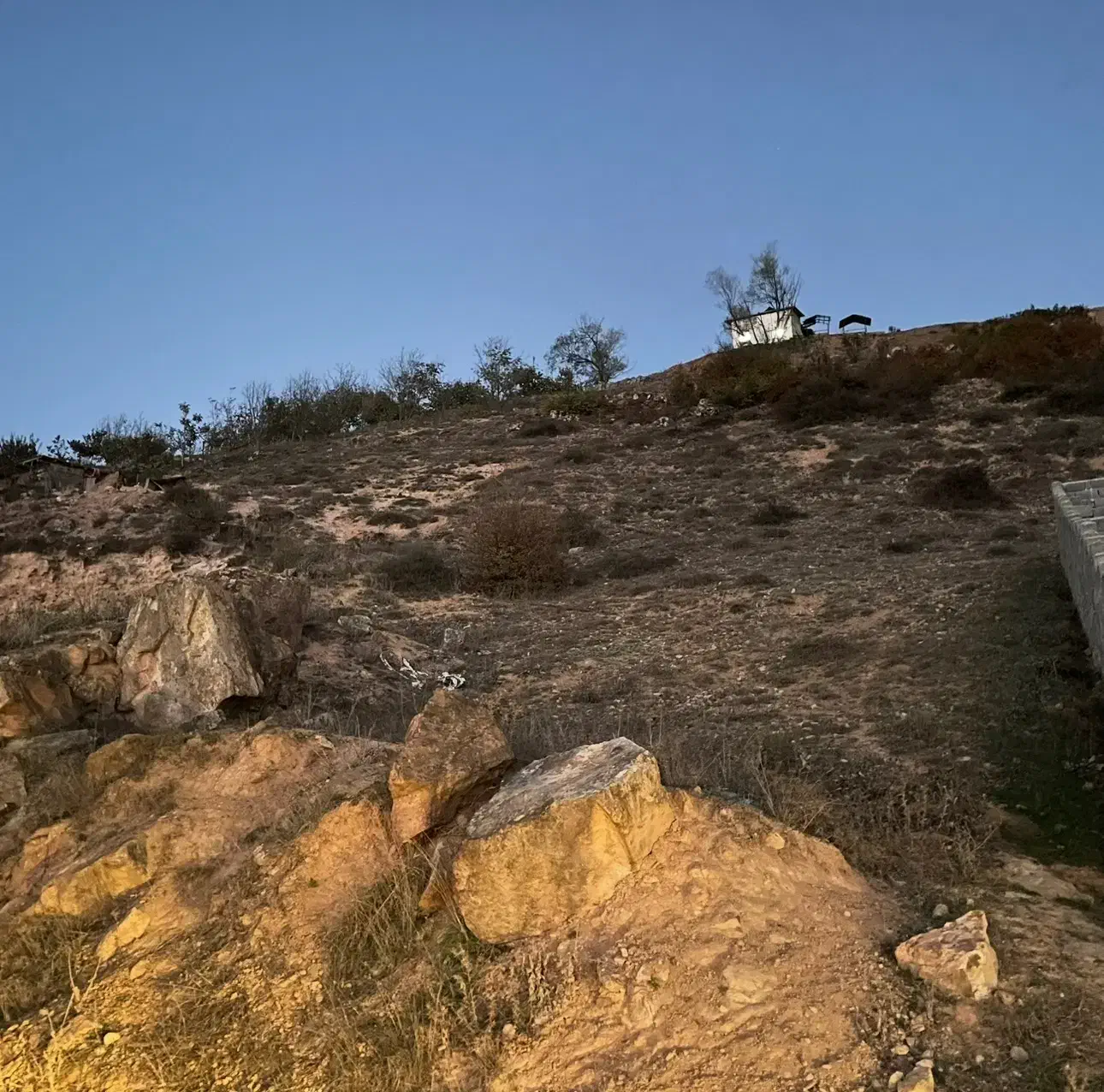 زمین|فروش زمین و ملک کلنگی|کیاسر, |دیوار