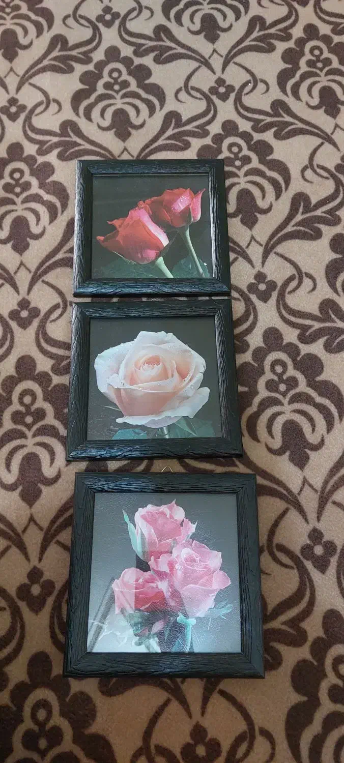 پروانه های ۳ عددی استیل وتابلوسه تیکه|صنایع دستی و سایر لوازم تزئینی|نورآباد, |دیوار