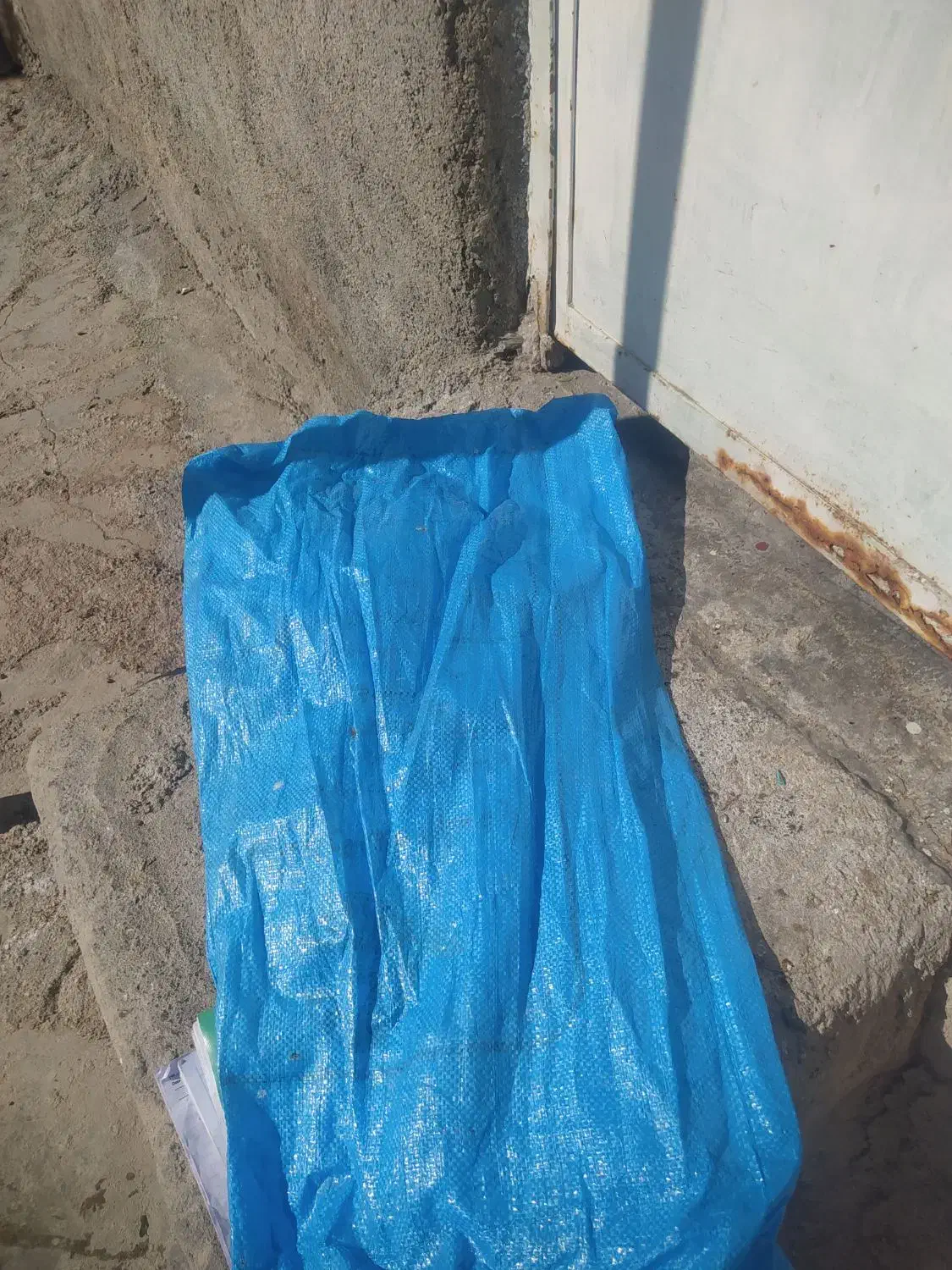 گونی تمیزوسالم|گلیم، جاجیم، گبه|رامهرمز, |دیوار