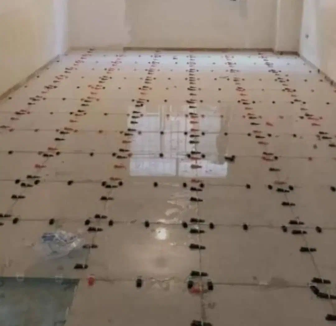 کاشیکاری و سرامیک|خدمات پیشه و مهارت|ایلام, |دیوار