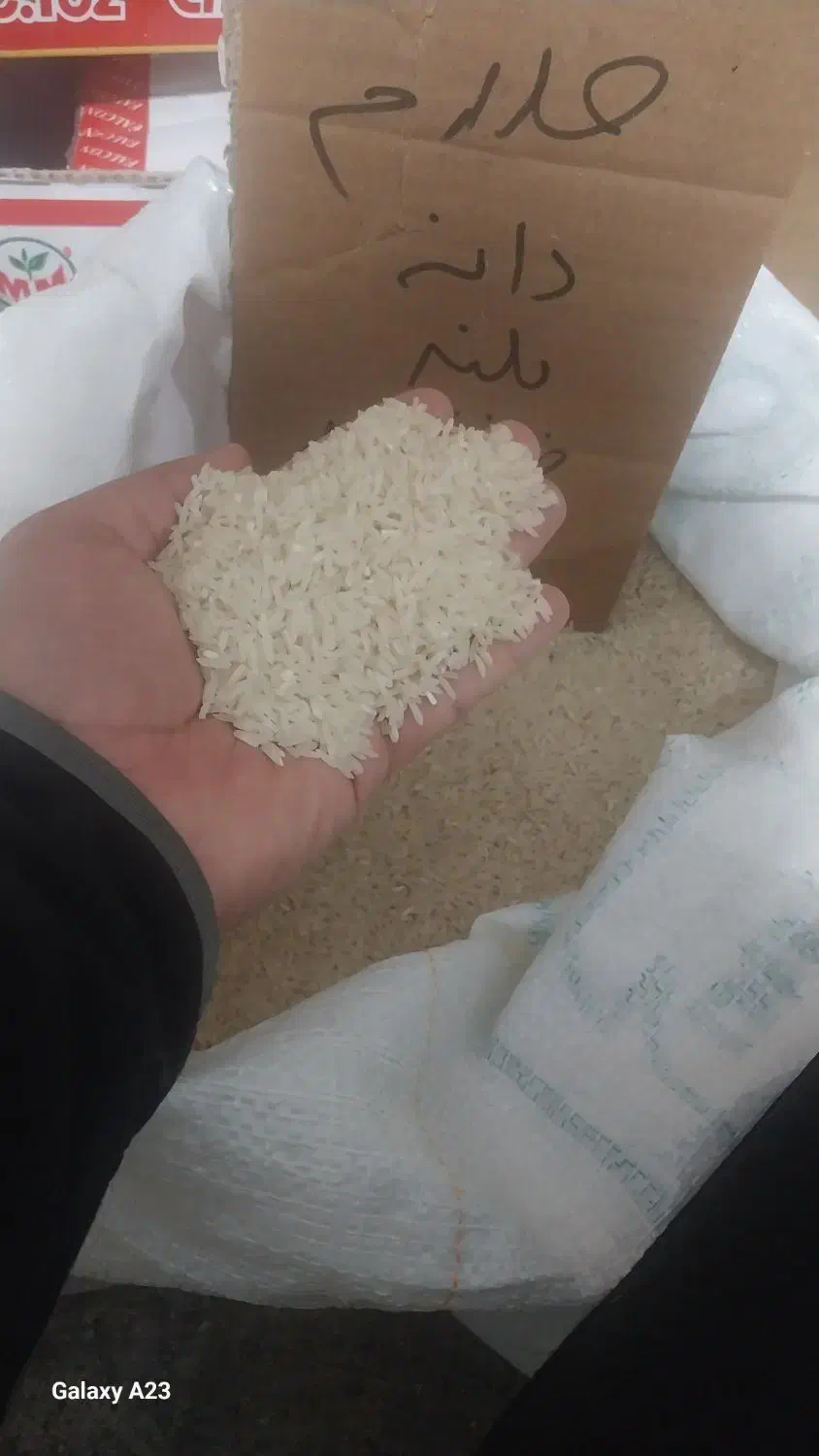 برنج طارم و ضیغمی شیروان به شرط پخت|حراج|ایلام, |دیوار