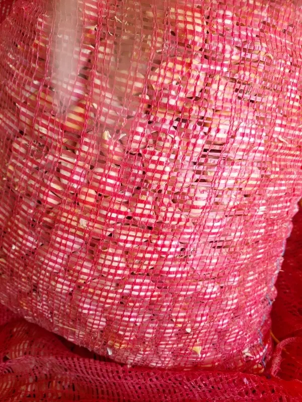 سیر|خوردنی و آشامیدنی|شراء, |دیوار