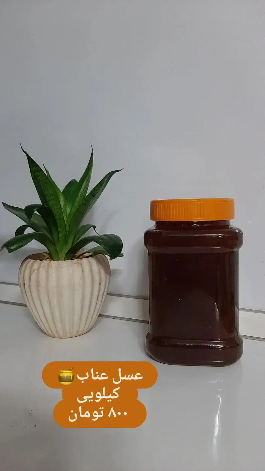 عسل درجه یک از تولید کننده|خوردنی و آشامیدنی|مشهد, احمدآباد|دیوار