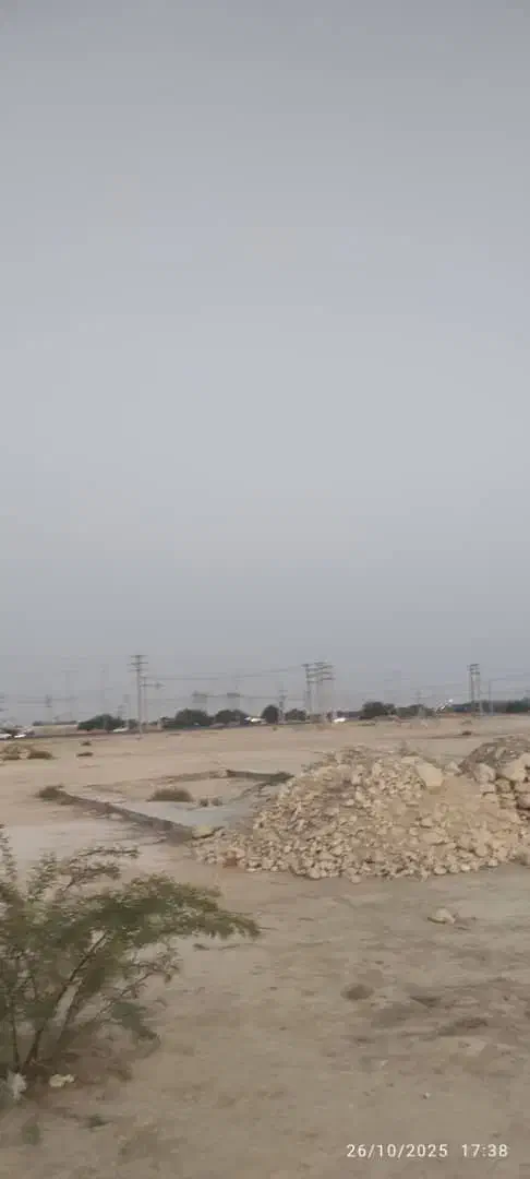 زمین چغادک|فروش زمین و ملک کلنگی|چغادک, |دیوار