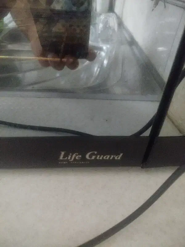 توستر|اجاق گاز و لوازم برقی پختوپز|پاکدشت, پاکدشت (مامازند)|دیوار