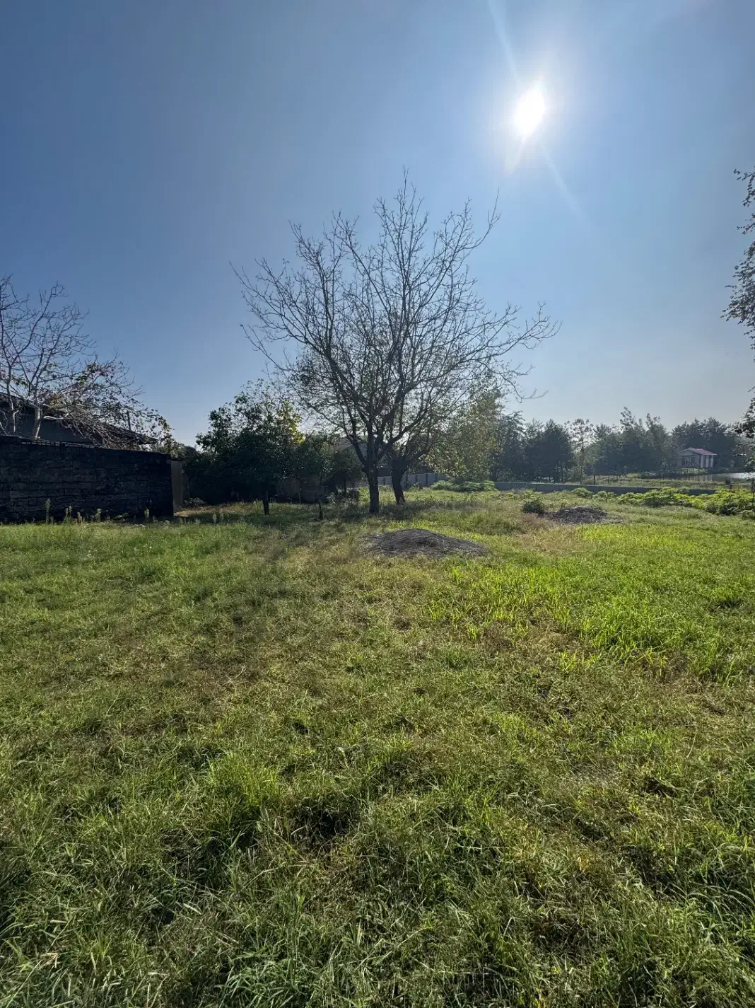 310متر‌زمین سند تک برگ دارد/پروانه ساختمانی دارد|فروش زمین و ملک کلنگی|رضوانشهر, |دیوار