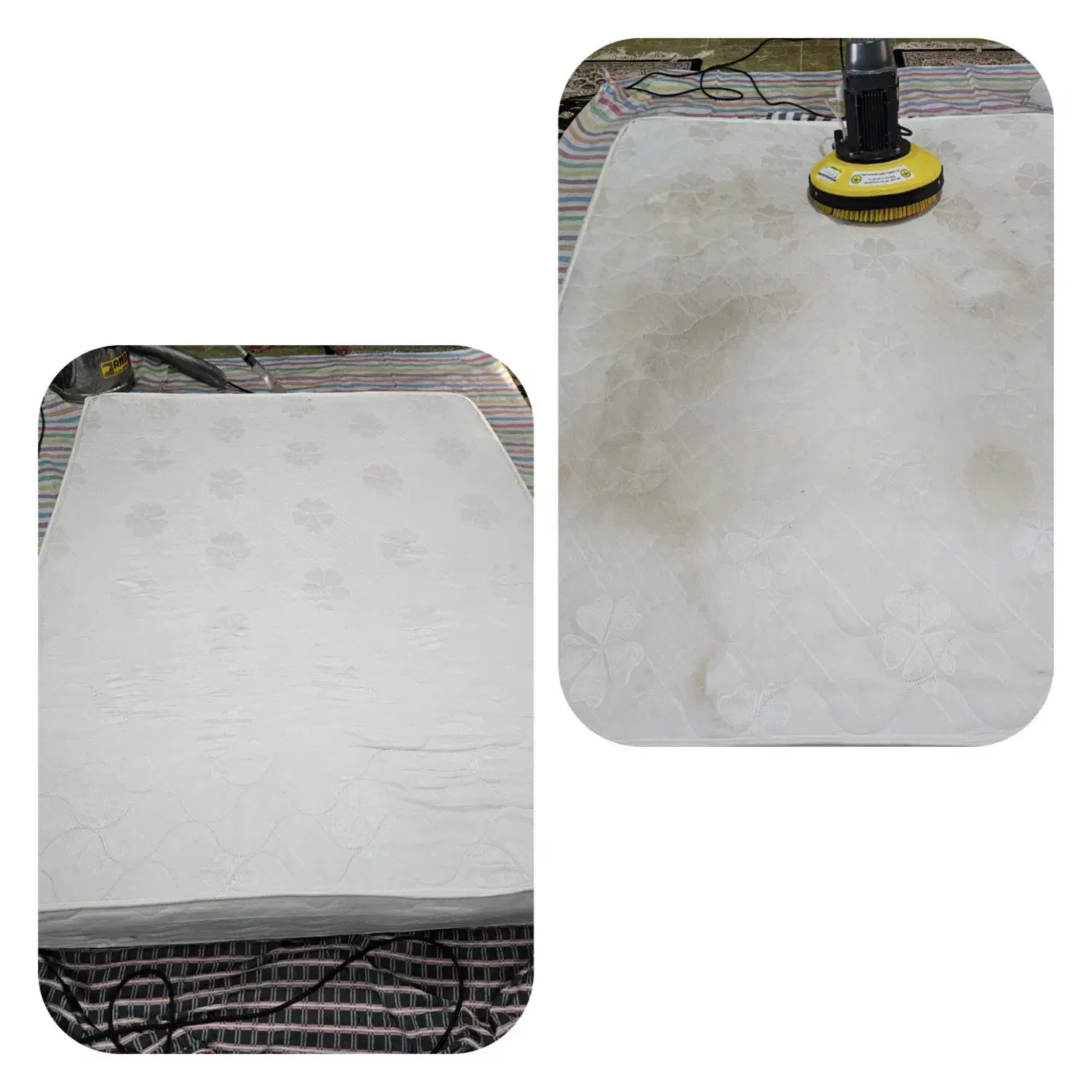 شستشوی تخصصی مبلمان در منزل|خدمات نظافت|اسفراین, |دیوار