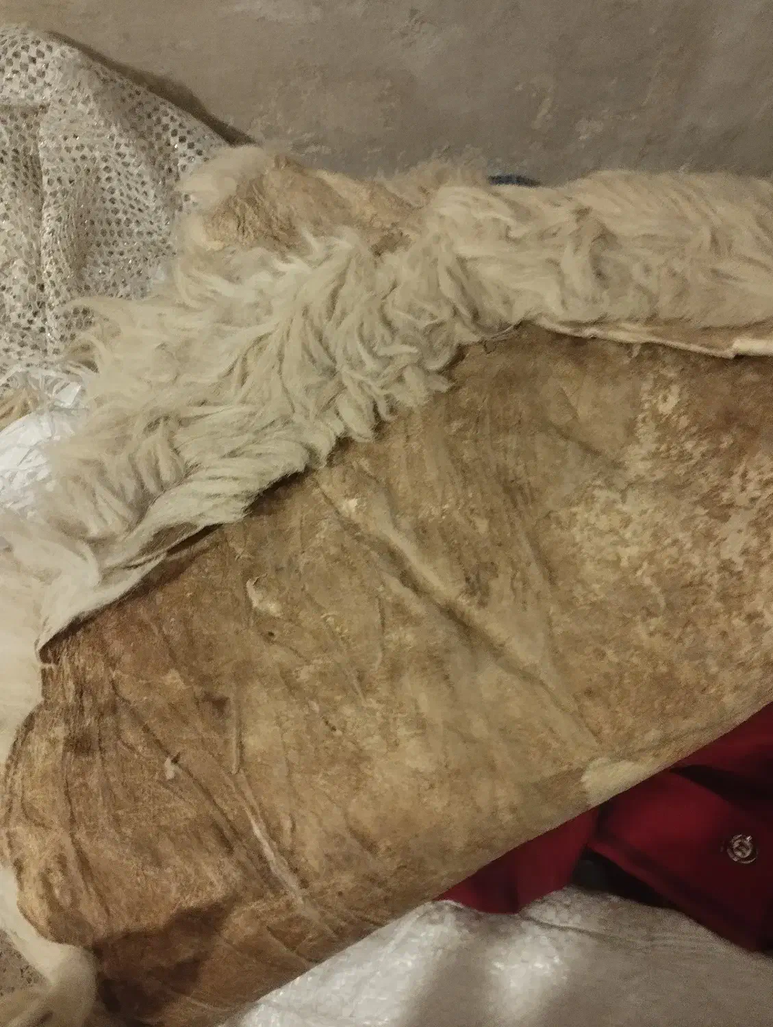 پوست‌گوسفند‌خشک‌وکوسن|صنایع دستی و سایر لوازم تزئینی|اردبیل, |دیوار