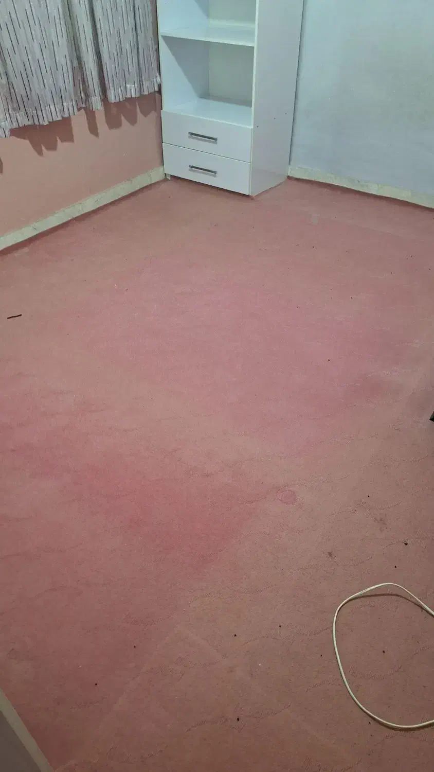 موکت کار کرده|موکت|اردبیل, |دیوار