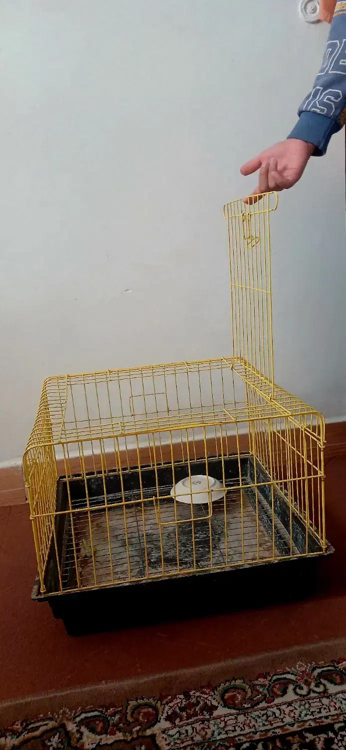 قفس خرگوش قفس همستر|لوازم جانبی حیوانات|پاکدشت, پاکدشت (مامازند)|دیوار