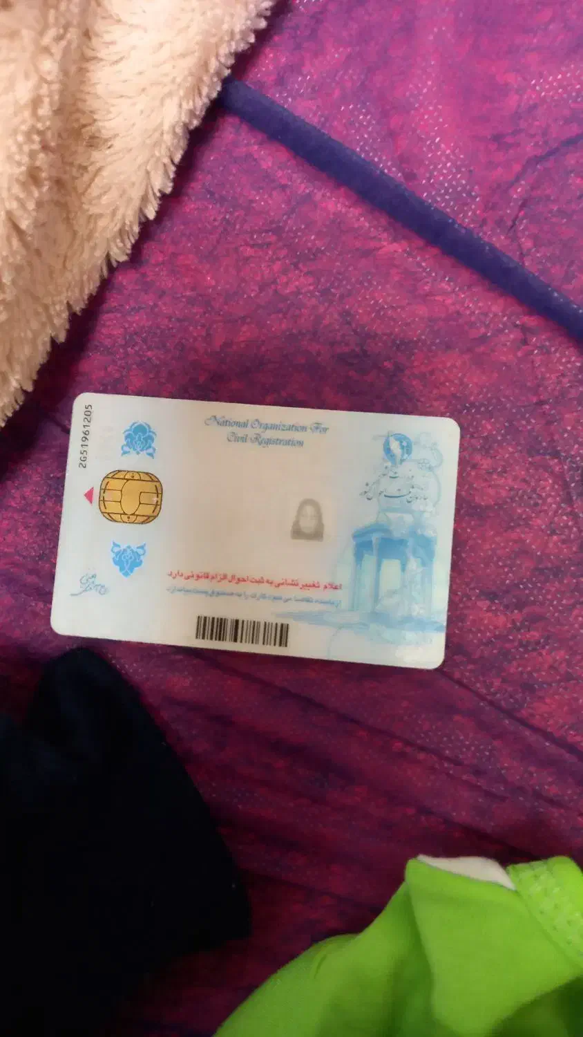 مدارک گم شده|اشیا|باوی, |دیوار