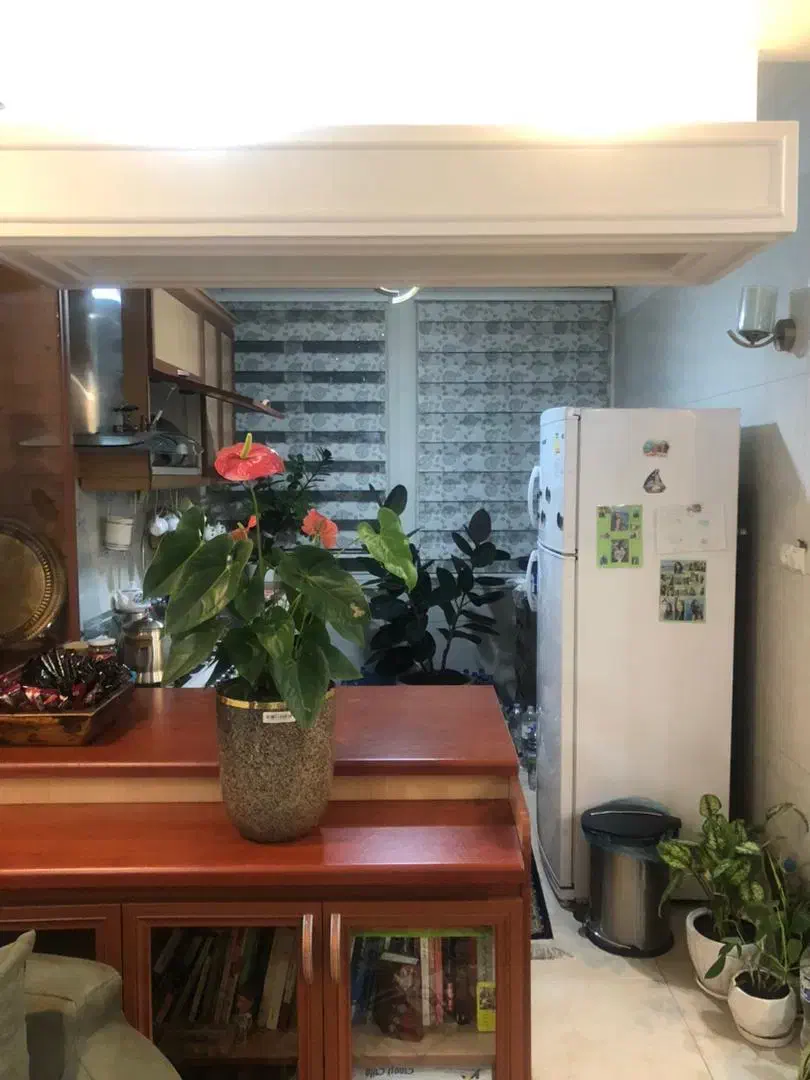 ۷۰متر خوش نقشه/حشمتیه/معلم/مرودشت