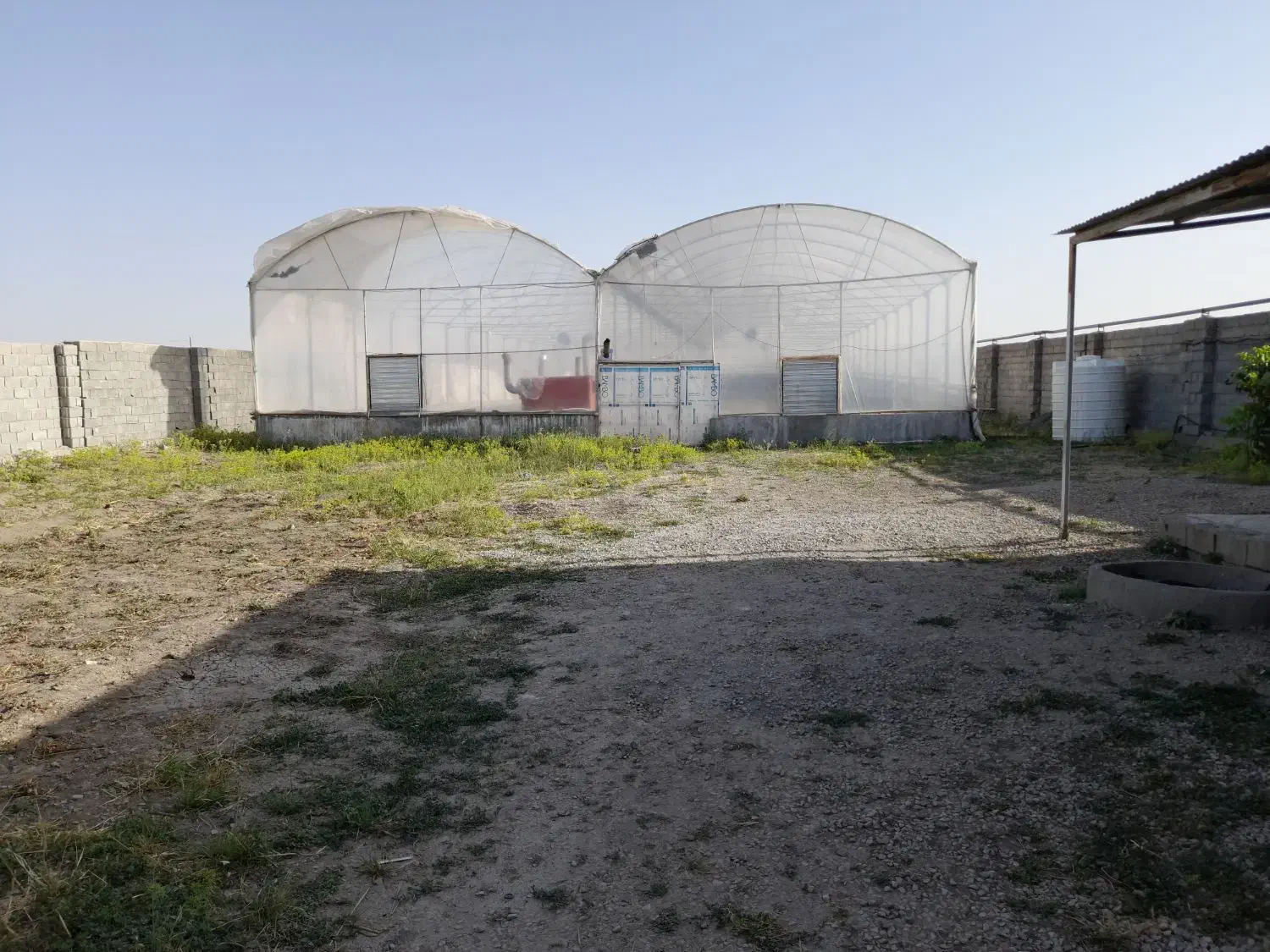 گلخانه ۲۰۰۰ متری جاده سراب نیلوفر|فروش دفتر صنعتی، کشاورزی، تجاری|کرمانشاه, |دیوار