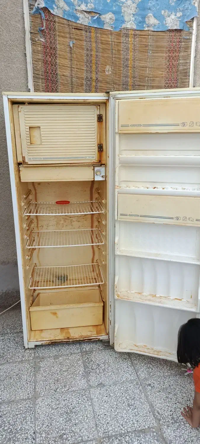 یخچال آزمایش|یخچال و فریزر|هامون, |دیوار