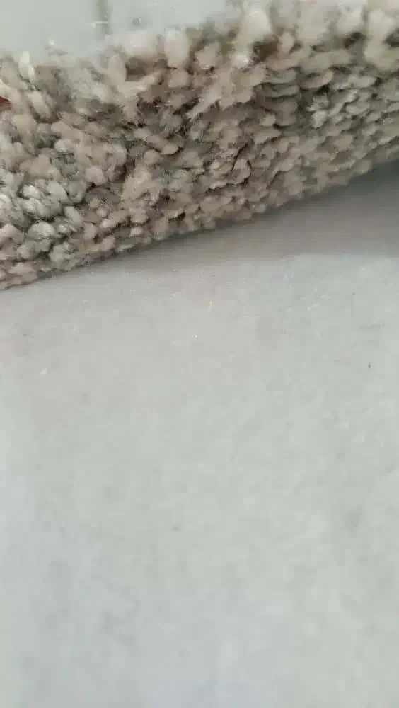 موکت فرش|موکت|سراوان, |دیوار