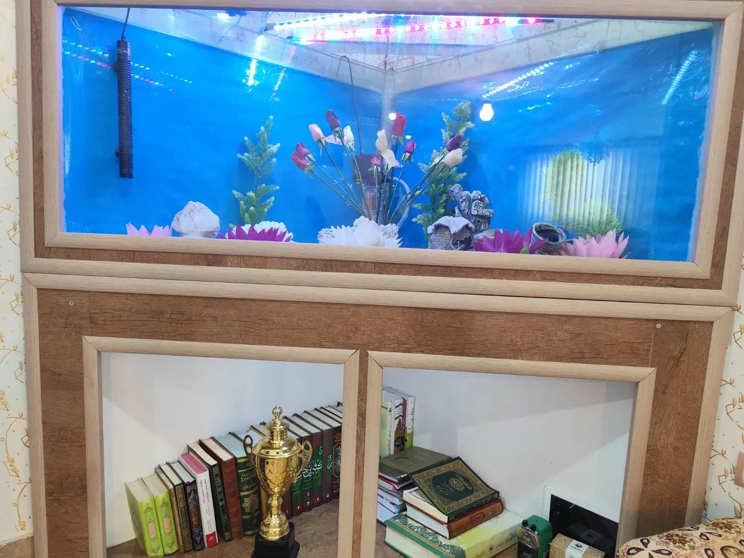 اکواریوم|ماهی|مریوان, |دیوار