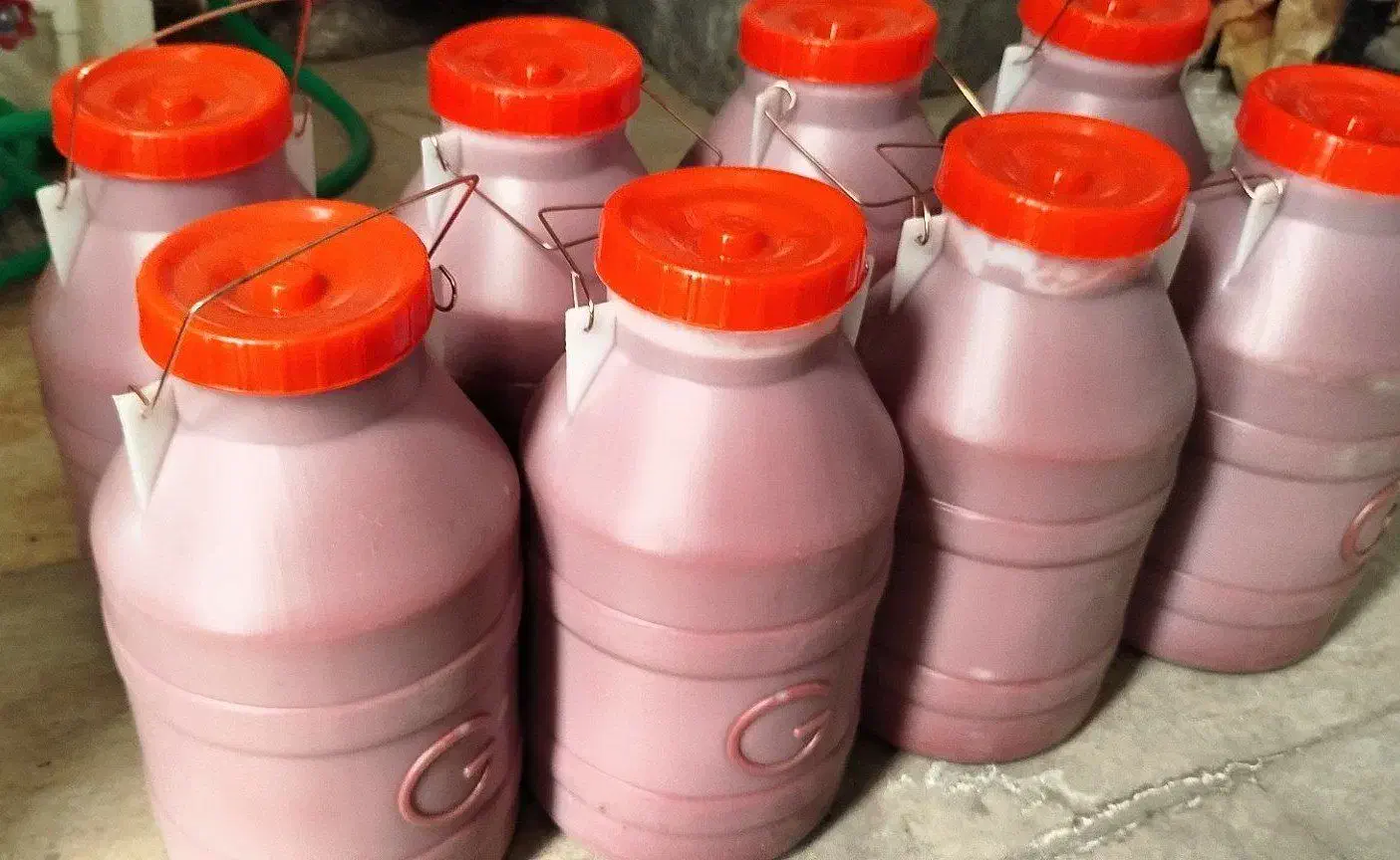 رب گوجه دبه ای ۶۵۰|خوردنی و آشامیدنی|تربتحیدریه, ۴۵ متری|دیوار