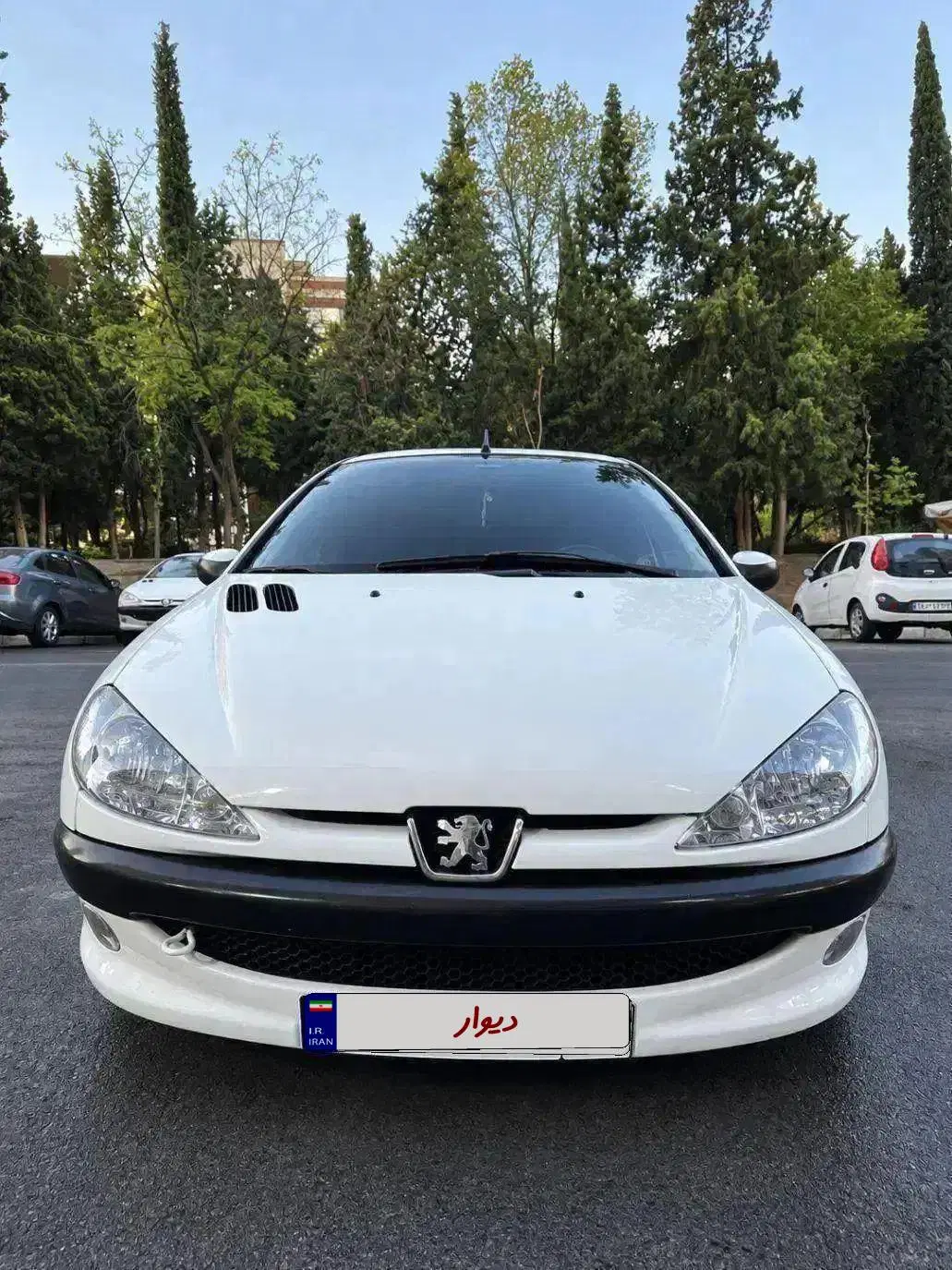 206 SD 91 v8|خودرو سواری و وانت|تهران, دریا|دیوار