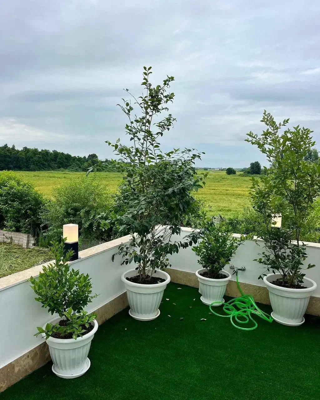 رومی استخردار ۲۶۰مترزمین/رووف گاردن با بنا ۱۶۰متری|فروش خانه و ویلا|رویان, |دیوار