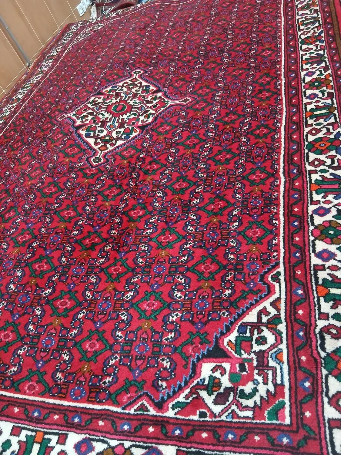 شش متری همدان در حد نو|فرش|میانه, |دیوار