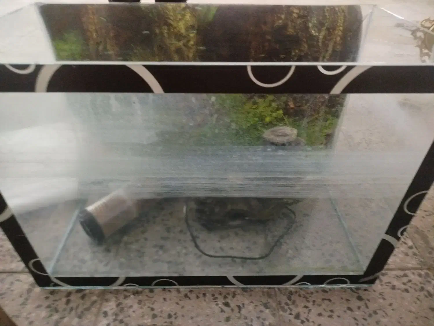 آکواریوم همراه پمپ و تزیینات|ماهی|ملایر, |دیوار